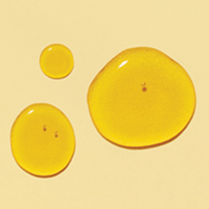 Ceramides