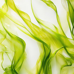 Spirulina